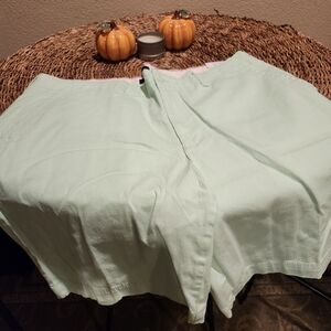 George Mint Green Men's Flat Front Shorts